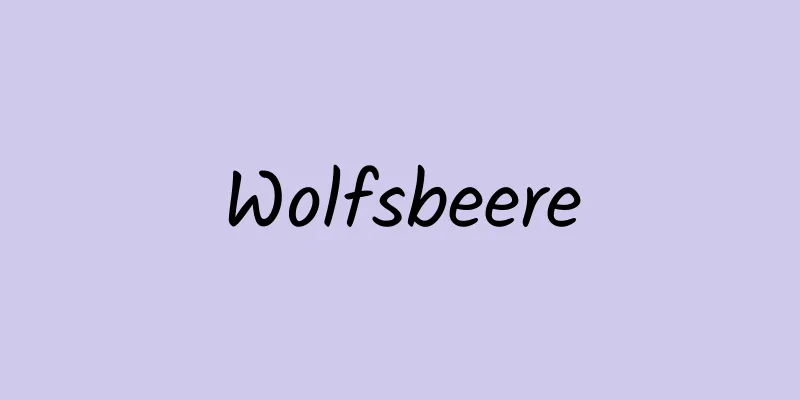 Wolfsbeere