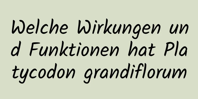 Welche Wirkungen und Funktionen hat Platycodon grandiflorum