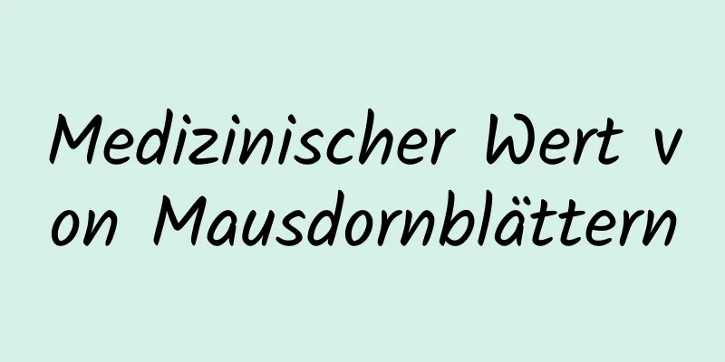 Medizinischer Wert von Mausdornblättern