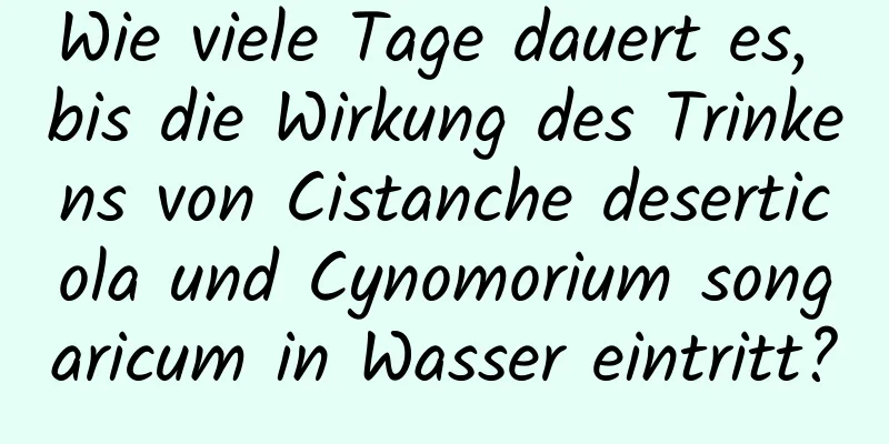 Wie viele Tage dauert es, bis die Wirkung des Trinkens von Cistanche deserticola und Cynomorium songaricum in Wasser eintritt?