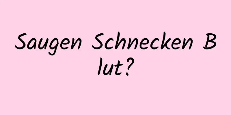 Saugen Schnecken Blut?