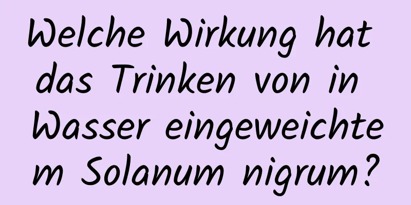 Welche Wirkung hat das Trinken von in Wasser eingeweichtem Solanum nigrum?