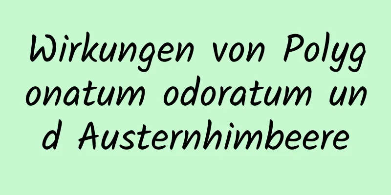 Wirkungen von Polygonatum odoratum und Austernhimbeere