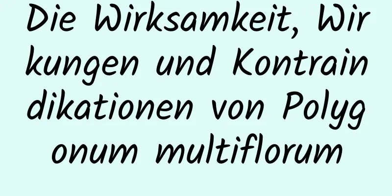 Die Wirksamkeit, Wirkungen und Kontraindikationen von Polygonum multiflorum