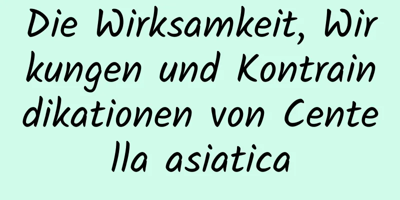 Die Wirksamkeit, Wirkungen und Kontraindikationen von Centella asiatica