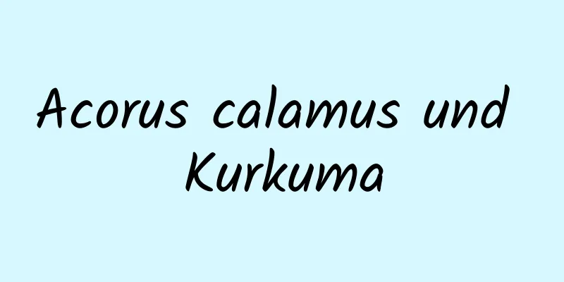 Acorus calamus und Kurkuma