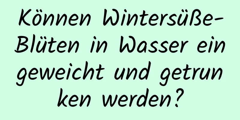 Können Wintersüße-Blüten in Wasser eingeweicht und getrunken werden?