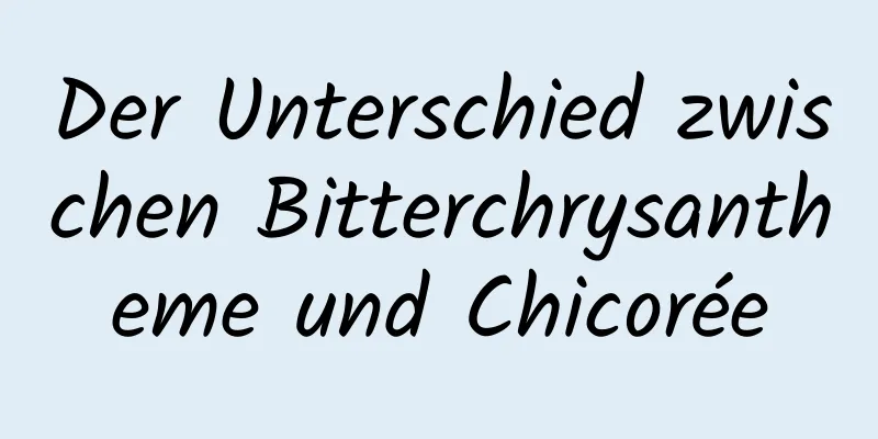 Der Unterschied zwischen Bitterchrysantheme und Chicorée