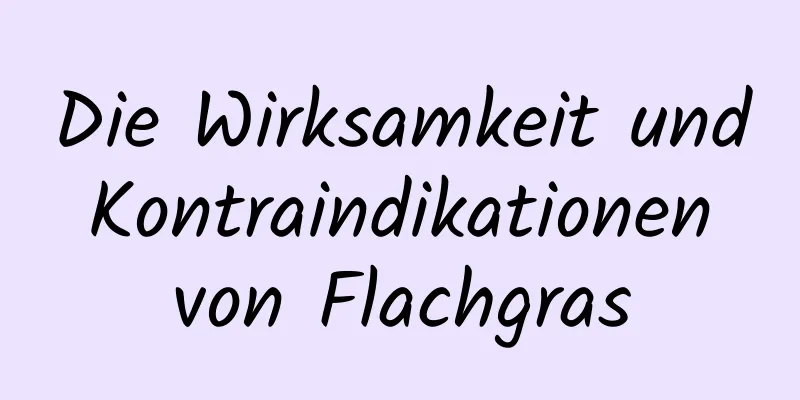 Die Wirksamkeit und Kontraindikationen von Flachgras