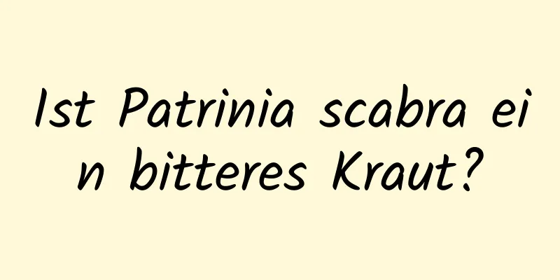 Ist Patrinia scabra ein bitteres Kraut?