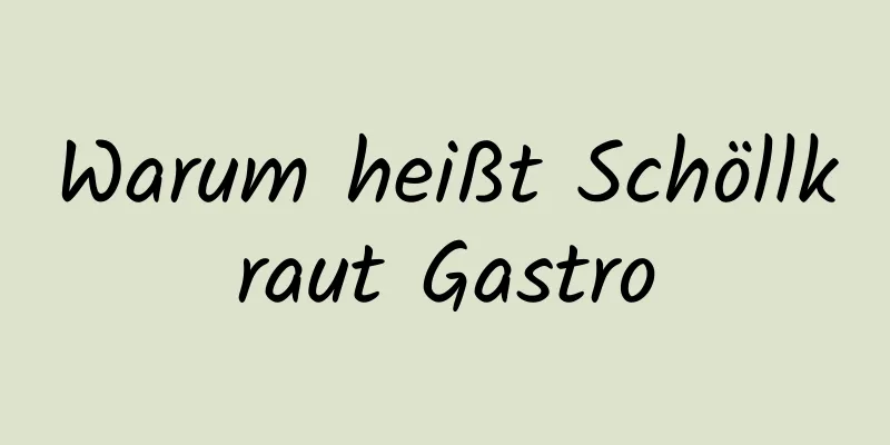 Warum heißt Schöllkraut Gastro