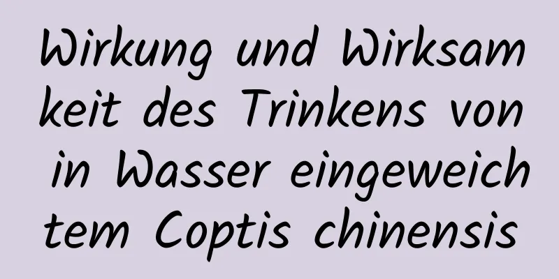 Wirkung und Wirksamkeit des Trinkens von in Wasser eingeweichtem Coptis chinensis