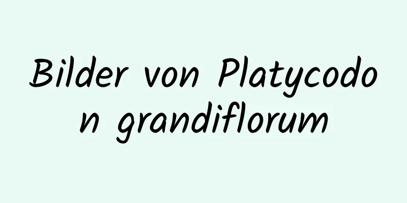 Bilder von Platycodon grandiflorum