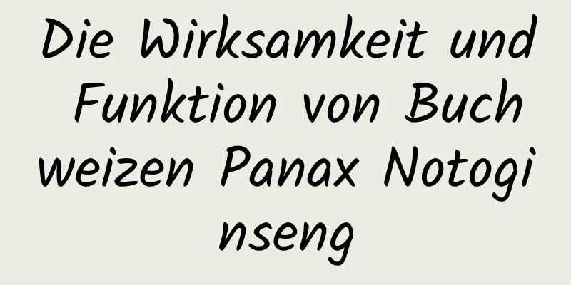 Die Wirksamkeit und Funktion von Buchweizen Panax Notoginseng