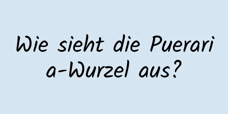 Wie sieht die Pueraria-Wurzel aus?