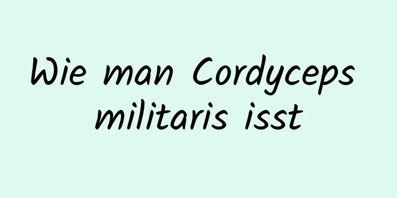 Wie man Cordyceps militaris isst