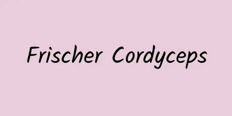 Frischer Cordyceps