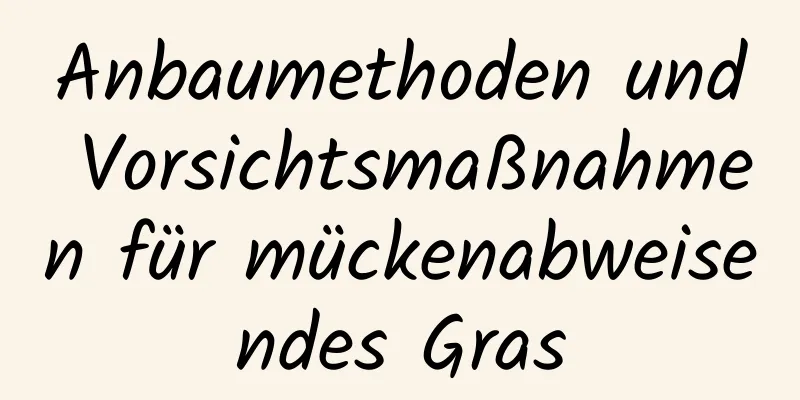 Anbaumethoden und Vorsichtsmaßnahmen für mückenabweisendes Gras