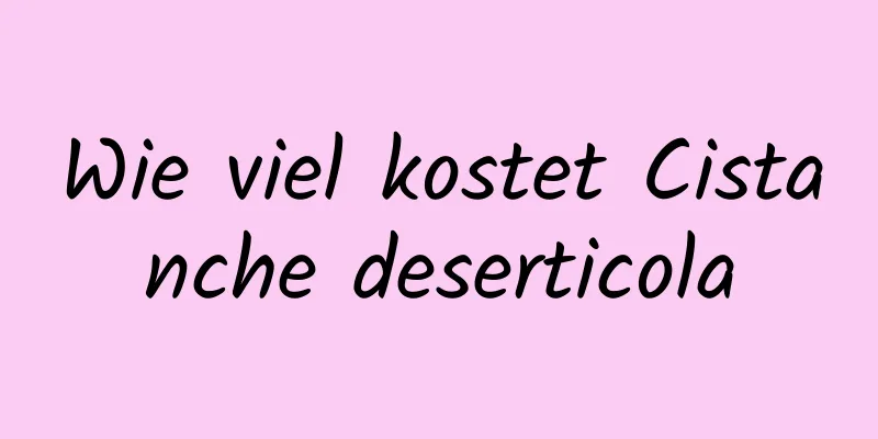 Wie viel kostet Cistanche deserticola