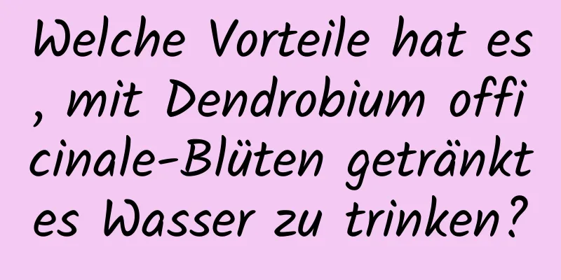 Welche Vorteile hat es, mit Dendrobium officinale-Blüten getränktes Wasser zu trinken?