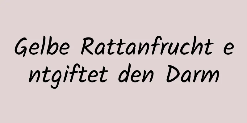 Gelbe Rattanfrucht entgiftet den Darm