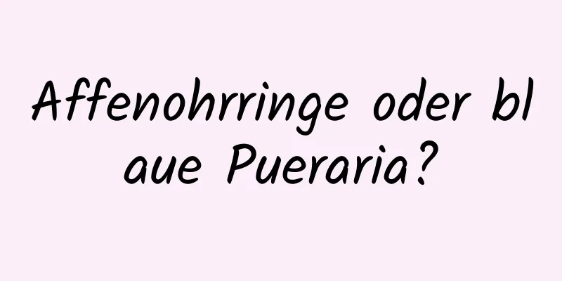 Affenohrringe oder blaue Pueraria?