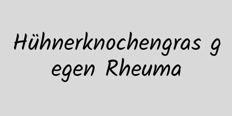 Hühnerknochengras gegen Rheuma