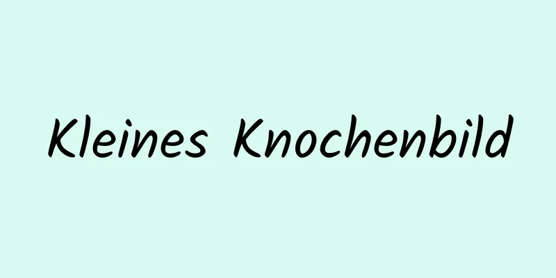 Kleines Knochenbild