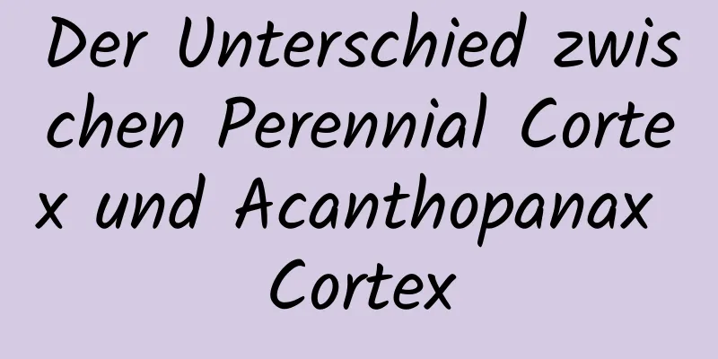 Der Unterschied zwischen Perennial Cortex und Acanthopanax Cortex