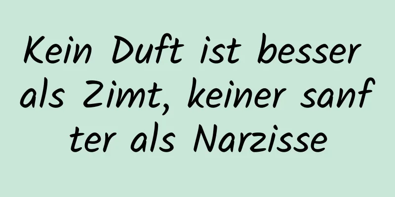 Kein Duft ist besser als Zimt, keiner sanfter als Narzisse