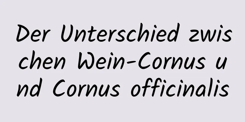 Der Unterschied zwischen Wein-Cornus und Cornus officinalis