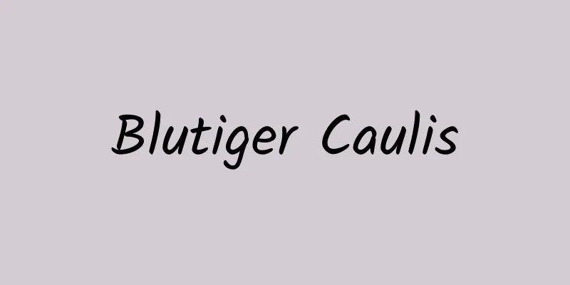 Blutiger Caulis