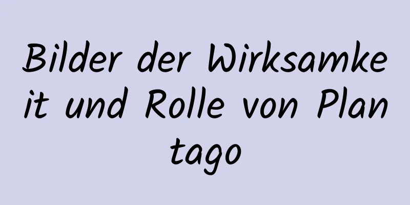 Bilder der Wirksamkeit und Rolle von Plantago