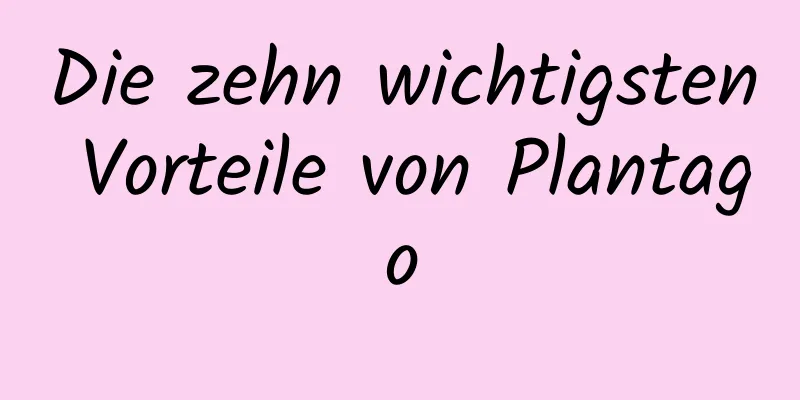 Die zehn wichtigsten Vorteile von Plantago