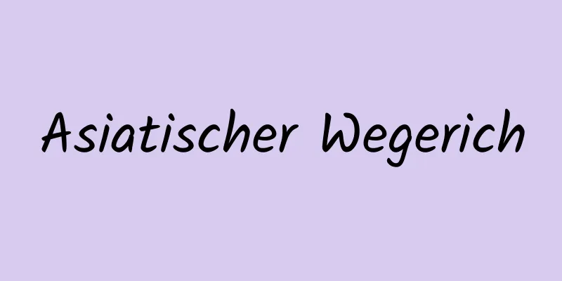 Asiatischer Wegerich