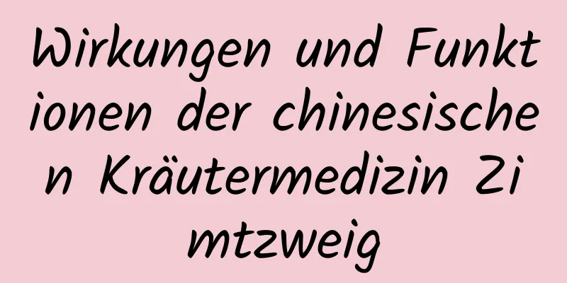 Wirkungen und Funktionen der chinesischen Kräutermedizin Zimtzweig