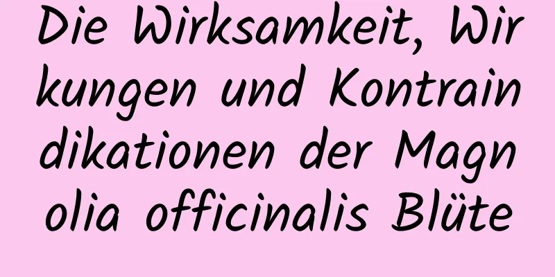 Die Wirksamkeit, Wirkungen und Kontraindikationen der Magnolia officinalis Blüte