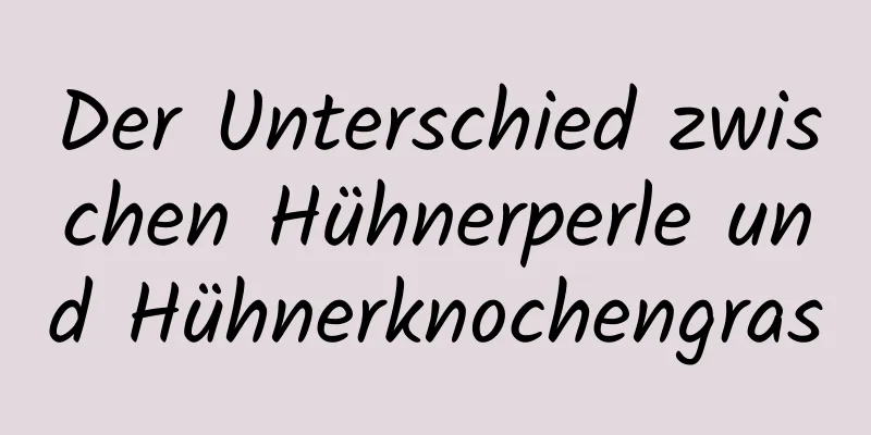 Der Unterschied zwischen Hühnerperle und Hühnerknochengras