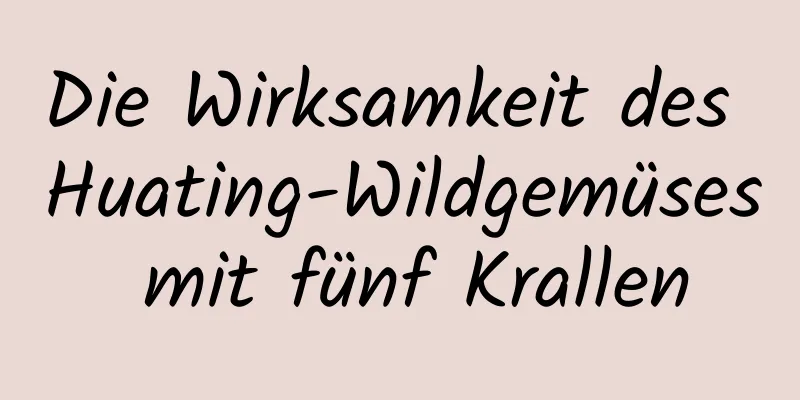 Die Wirksamkeit des Huating-Wildgemüses mit fünf Krallen