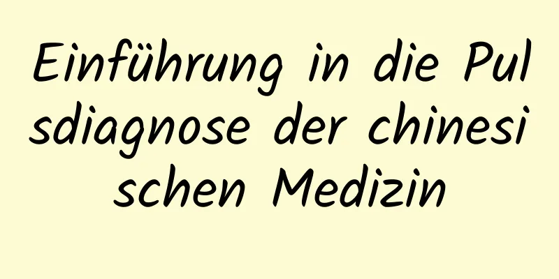 Einführung in die Pulsdiagnose der chinesischen Medizin