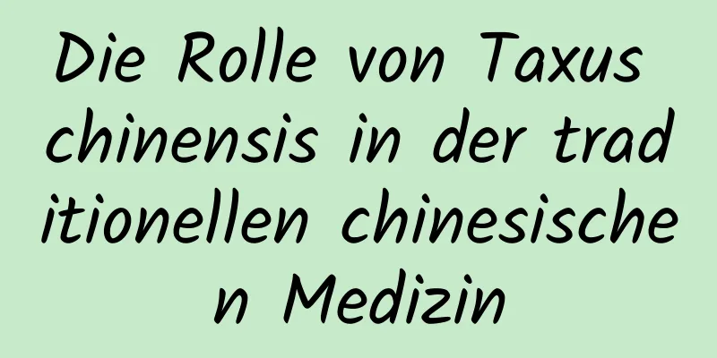 Die Rolle von Taxus chinensis in der traditionellen chinesischen Medizin