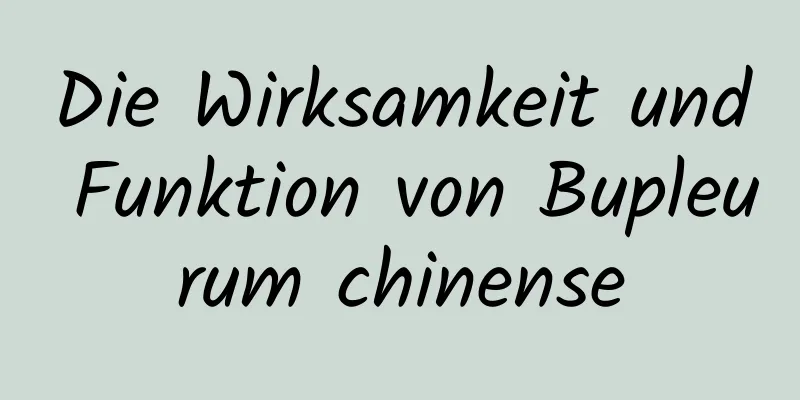 Die Wirksamkeit und Funktion von Bupleurum chinense