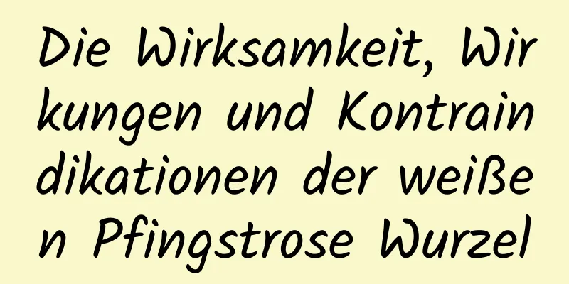 Die Wirksamkeit, Wirkungen und Kontraindikationen der weißen Pfingstrose Wurzel