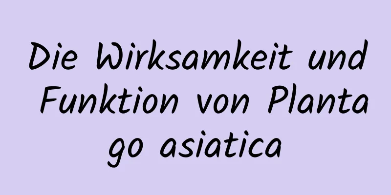 Die Wirksamkeit und Funktion von Plantago asiatica