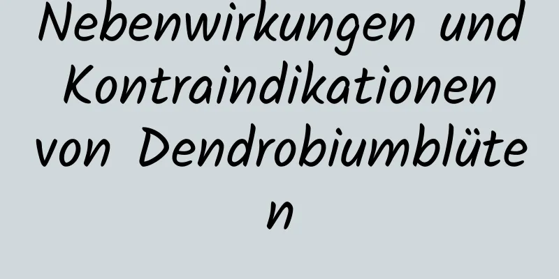 Nebenwirkungen und Kontraindikationen von Dendrobiumblüten