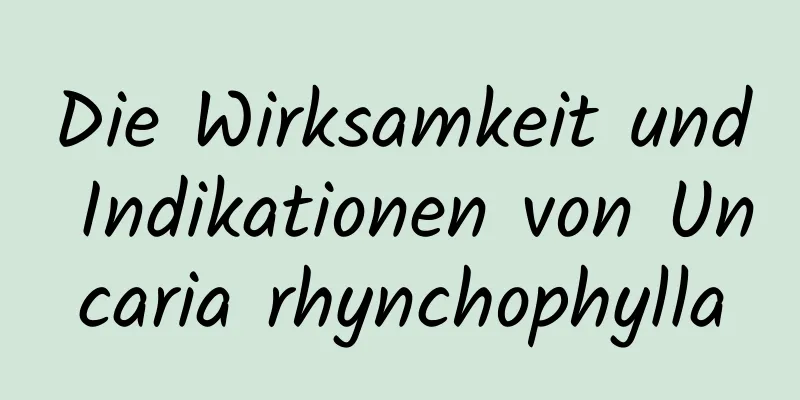 Die Wirksamkeit und Indikationen von Uncaria rhynchophylla