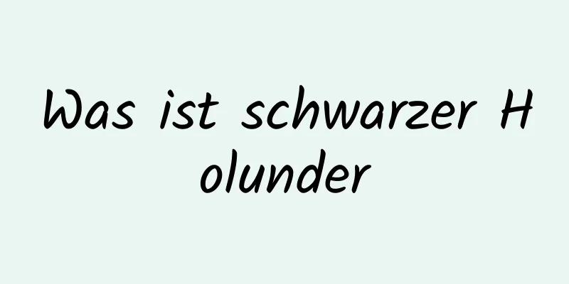 Was ist schwarzer Holunder