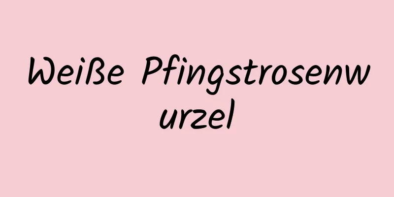 Weiße Pfingstrosenwurzel