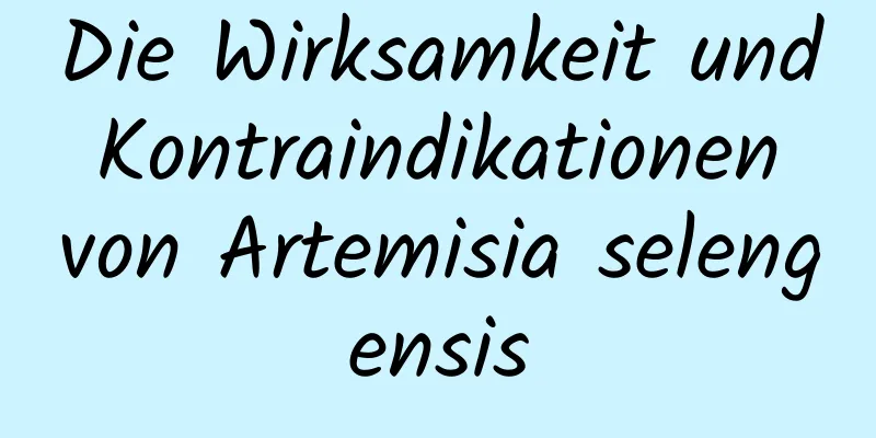 Die Wirksamkeit und Kontraindikationen von Artemisia selengensis