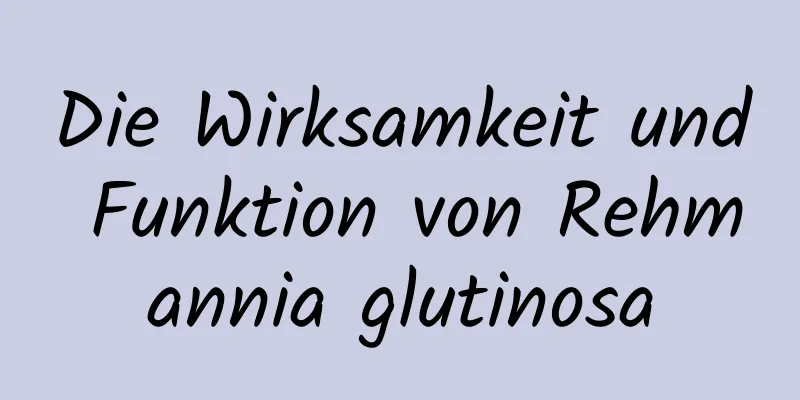 Die Wirksamkeit und Funktion von Rehmannia glutinosa